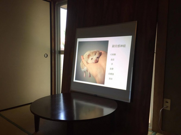 18836328_1893608734218175_1555343731_o