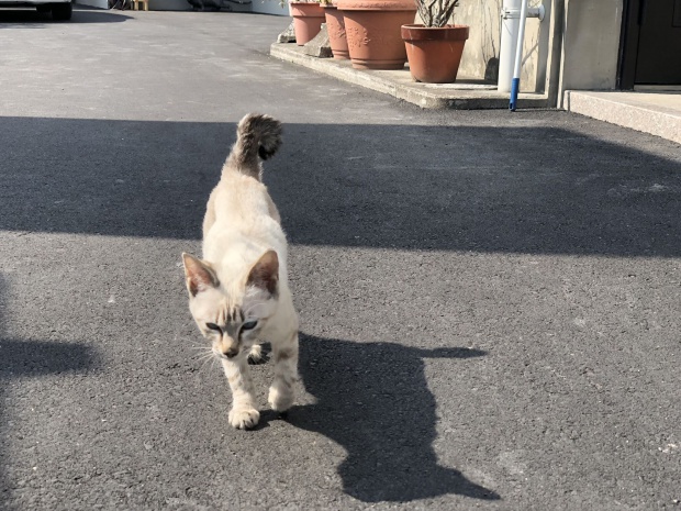 写真 2018-02-23 12 22 27_preview