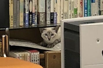 写真 2018-02-20 18 26 26_preview