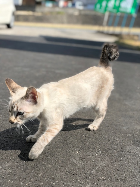 写真 2018-02-23 12 22 56_preview